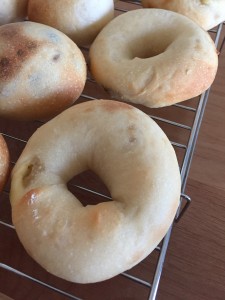 セントルの湯種食パン生地で作るアレンジパンいろいろ